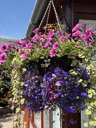 Flower Power by Helen Rushton
