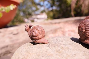 Having a snail of a time! by Kerry Smith