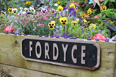 Fordyce by Louise Simpson