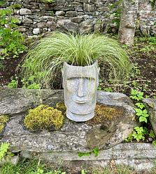 Summer hairdo by Judith Mcintyre