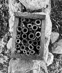 Woodlands in December  by Karima Hammadi