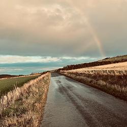 Horizon  by Karima Hammadi