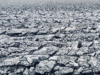 Fordyce farmlands  by Karima Hammadi