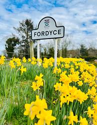 Yellow  by Karima Hammadi