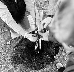 Hope by Karima Hammadi