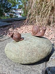A Snails pace by Christopher Bremner 