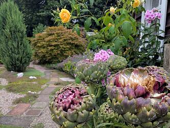 Layers of Lovely! by Louise M
