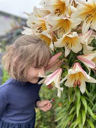 Lilly in the Lilies by Abbie Watson