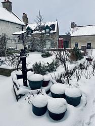 Snow snow snow  by Karima Hammadi